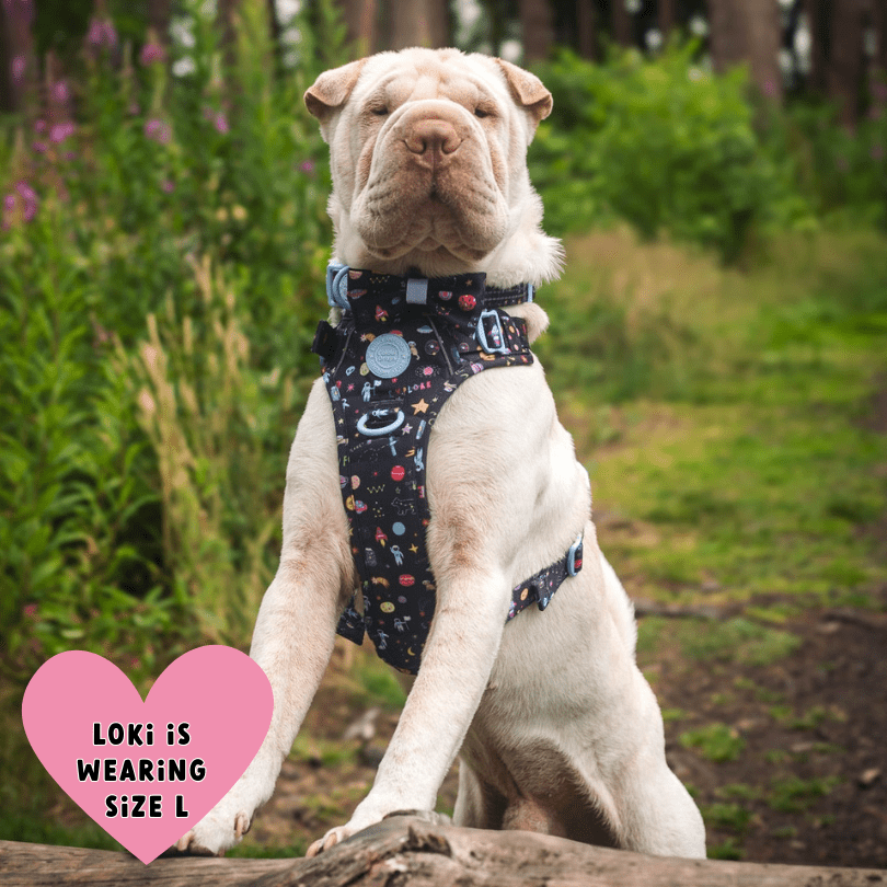 Trail & Glow Dog Harness - COLOUR DROPS® - Space Paws - Bailey and Coco (UK)