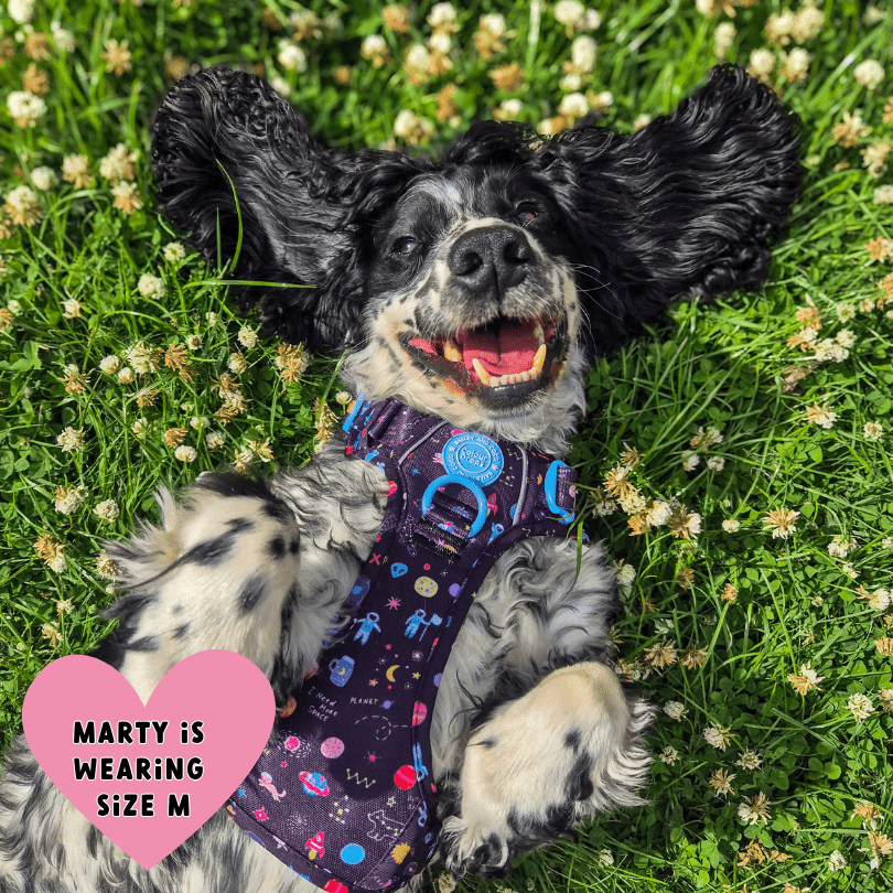 Trail & Glow Dog Harness - COLOUR DROPS® - Space Paws - Bailey and Coco (UK)