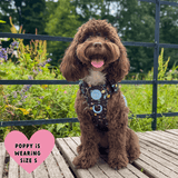 Trail & Glow Dog Harness - COLOUR DROPS® - Space Paws - Bailey and Coco (UK)
