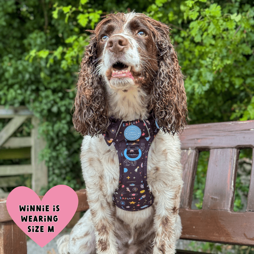 Trail & Glow Dog Harness - COLOUR DROPS® - Space Paws - Bailey and Coco (UK)