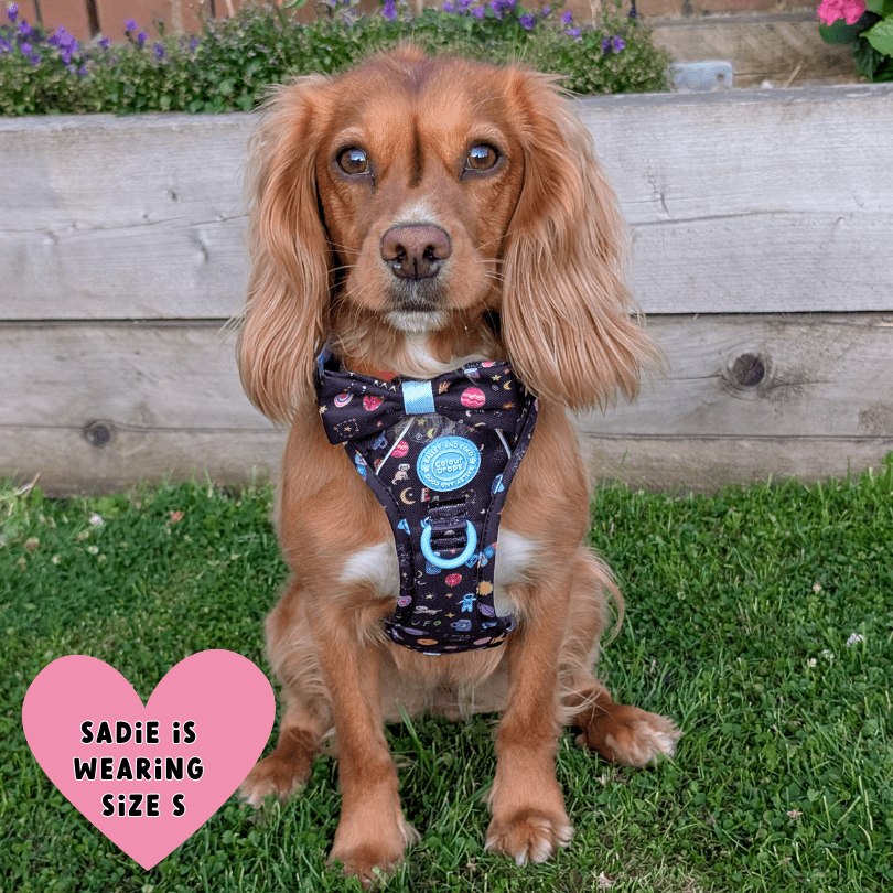 Trail & Glow Dog Harness - COLOUR DROPS® - Space Paws - Bailey and Coco (UK)
