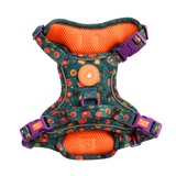 Trail & Glow Dog Harness - Colour Drops - Spellbound Autumn - Bailey and Coco (UK)