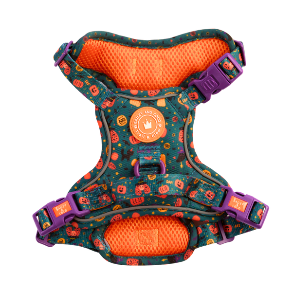 Trail & Glow Dog Harness - Colour Drops - Spellbound Autumn - Bailey and Coco (UK)