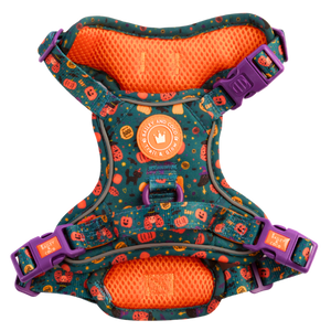 Trail & Glow Dog Harness - Colour Drops - Spellbound Autumn