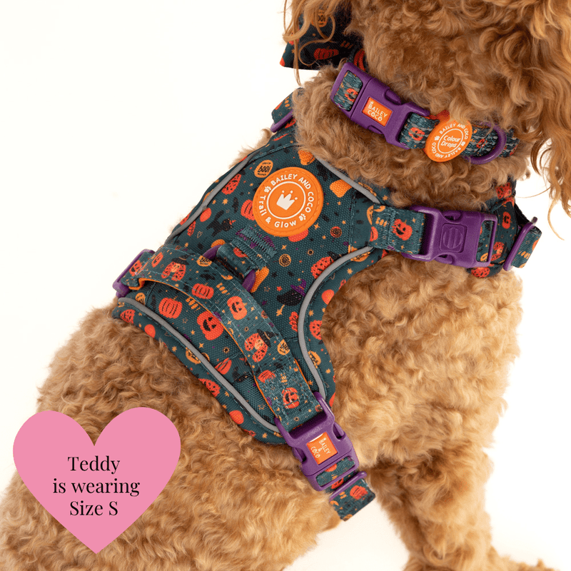 Trail & Glow Dog Harness - Colour Drops - Spellbound Autumn - Bailey and Coco (UK)
