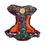 Trail & Glow Dog Harness - Colour Drops - Spellbound Autumn - Bailey and Coco (UK)