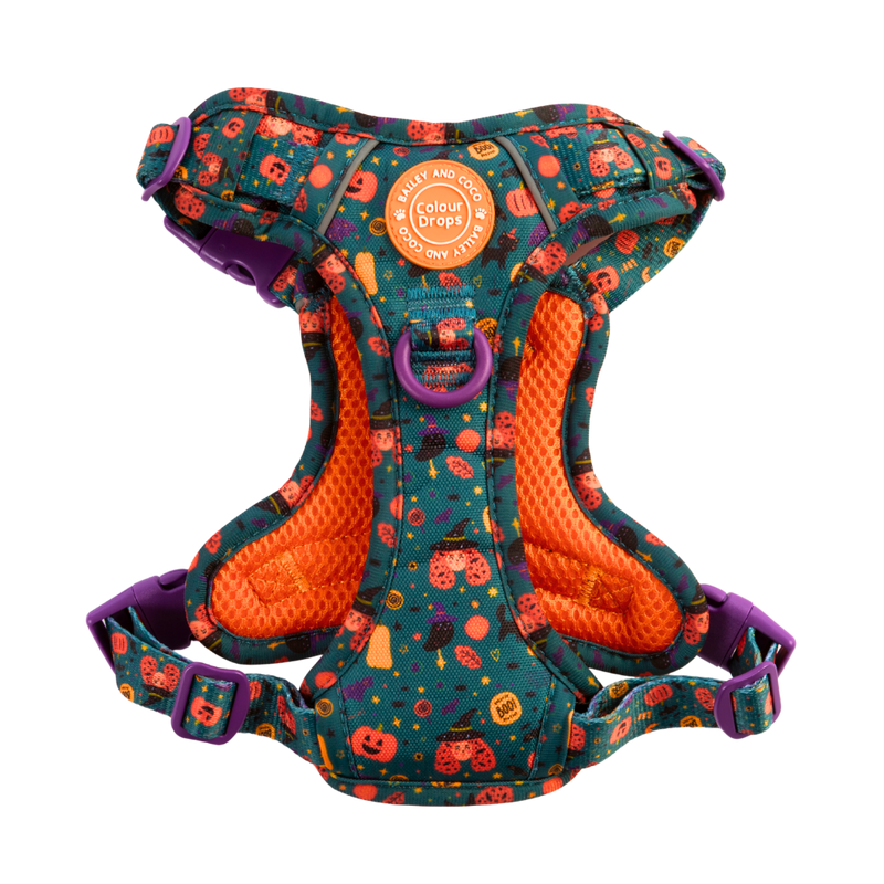 Trail & Glow Dog Harness - Colour Drops - Spellbound Autumn - Bailey and Coco (UK)