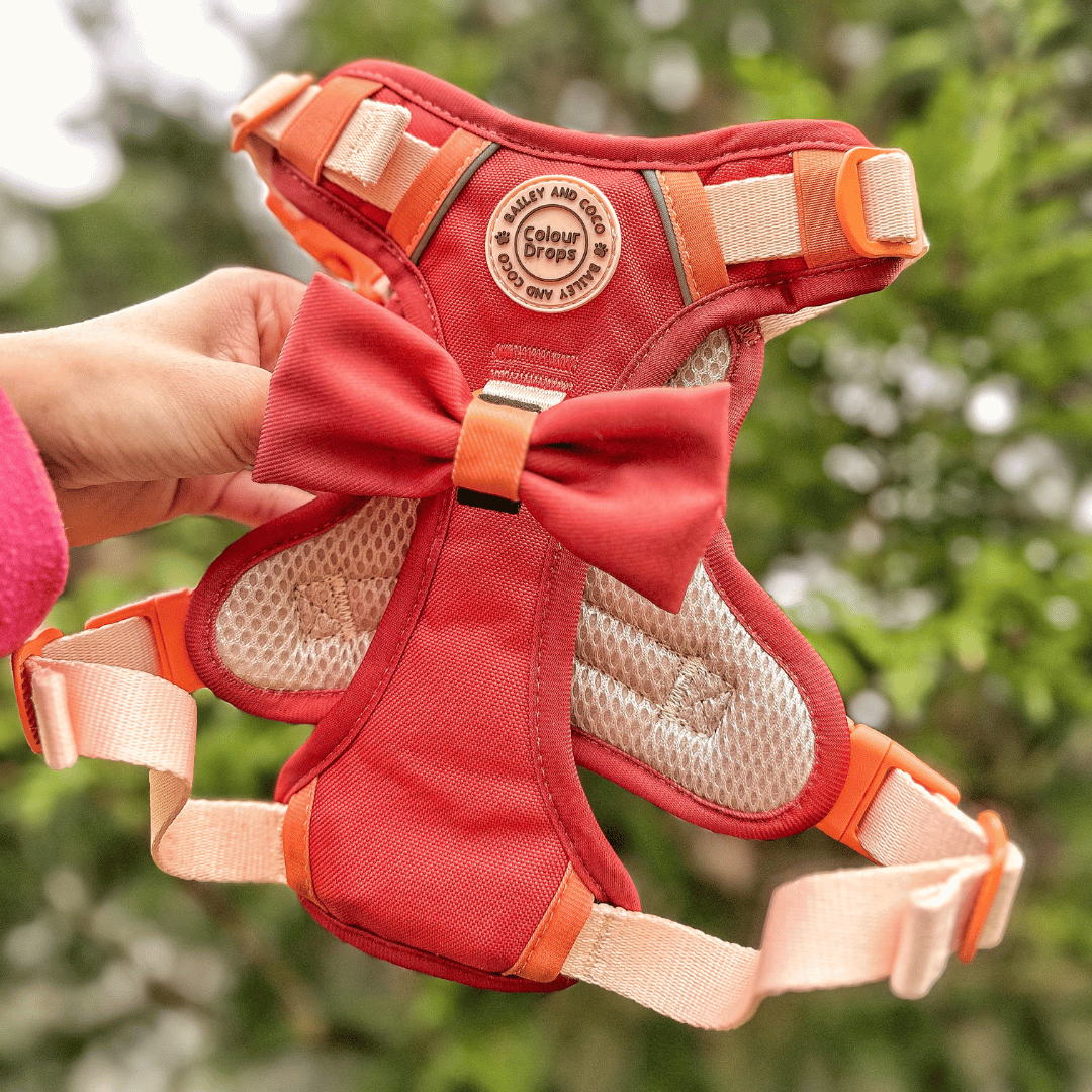 Trail & Glow® Dog Harness - COLOUR DROPS® - Spice it up - Bailey and Coco (UK)