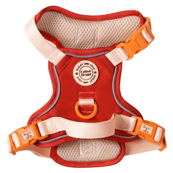 Trail & Glow® Dog Harness - COLOUR DROPS® - Spice it up - Bailey and Coco (UK)