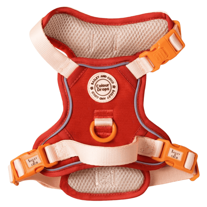 Trail & Glow® Dog Harness - COLOUR DROPS® - Spice it up - Bailey and Coco (UK)
