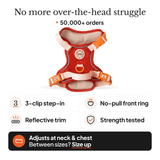 Trail & Glow® Dog Harness - COLOUR DROPS® - Spice it up - Bailey and Coco (UK)