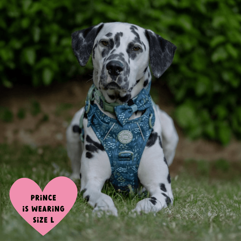 Trail & Glow Dog Harness - COLOUR DROPS® - Touch Grass - Bailey and Coco (UK)