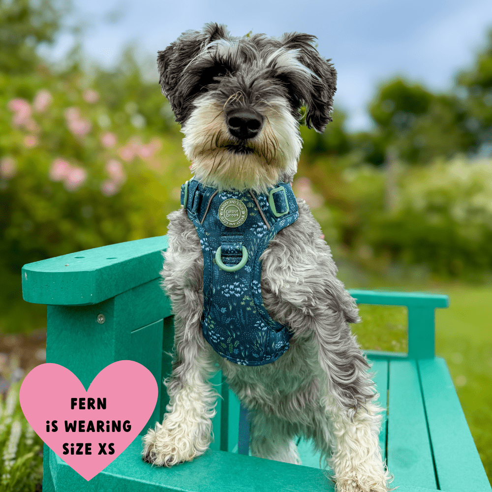 Trail & Glow Dog Harness - COLOUR DROPS® - Touch Grass - Bailey and Coco (UK)
