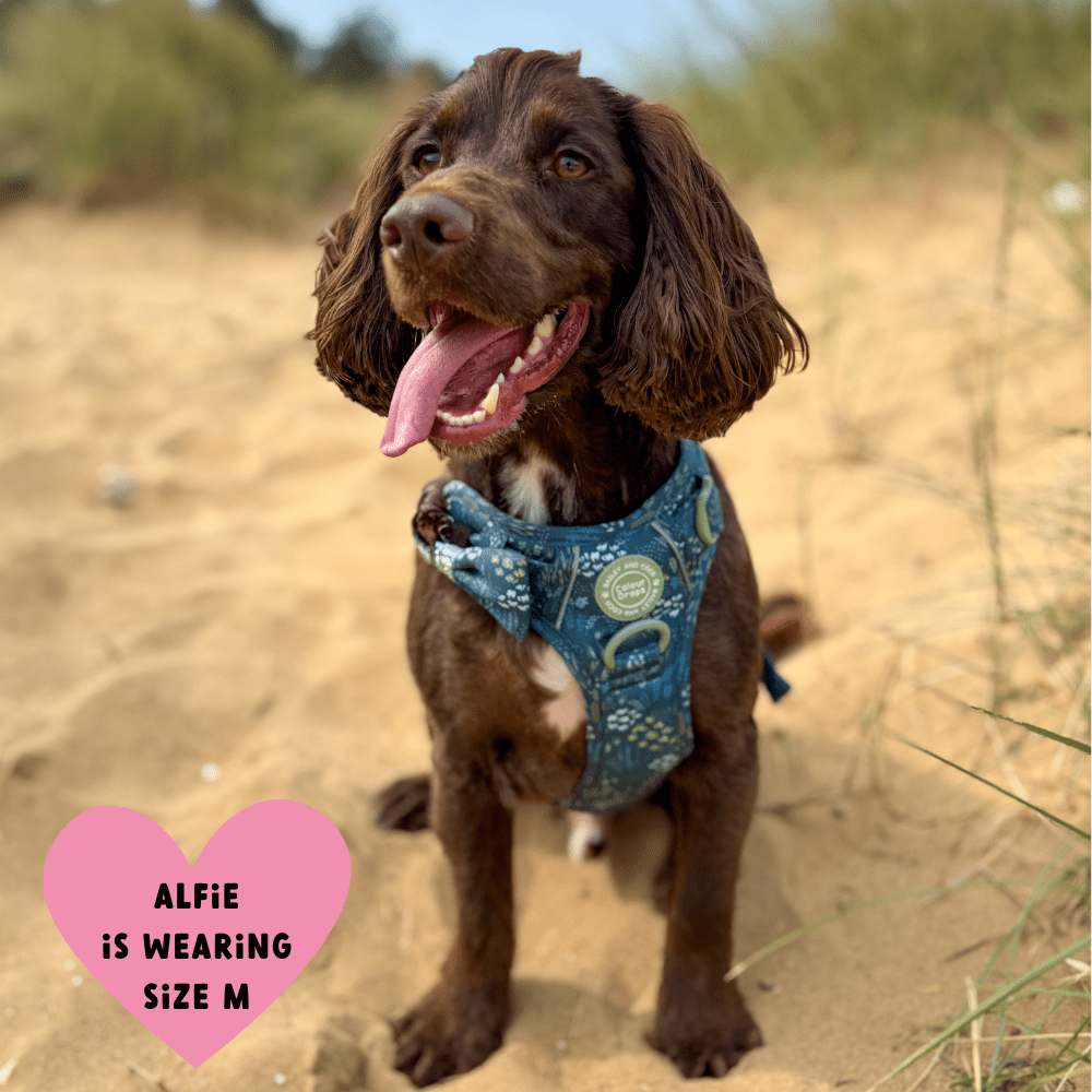 Trail & Glow Dog Harness - COLOUR DROPS® - Touch Grass - Bailey and Coco (UK)