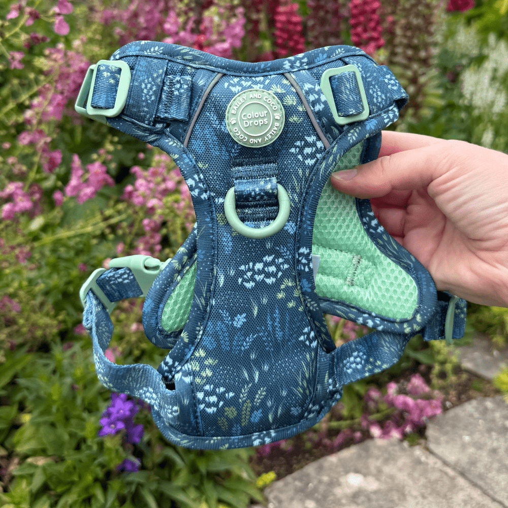 Trail & Glow Dog Harness - COLOUR DROPS® - Touch Grass - Bailey and Coco (UK)