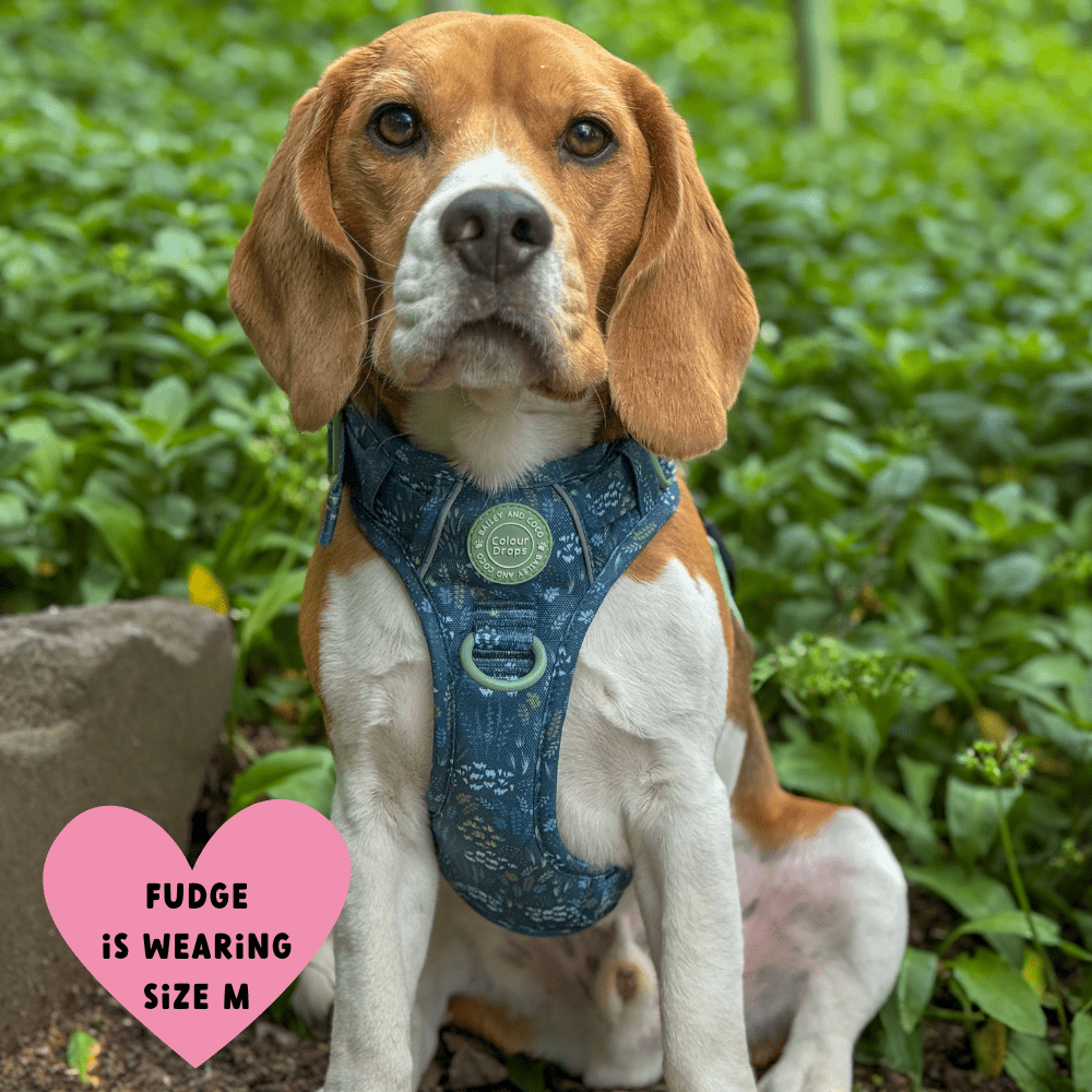 Trail & Glow Dog Harness - COLOUR DROPS® - Touch Grass - Bailey and Coco (UK)