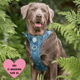 Trail & Glow Dog Harness - COLOUR DROPS® - Touch Grass - Bailey and Coco (UK)