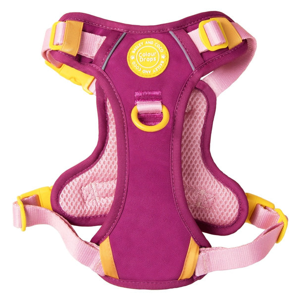 Trail & Glow Dog Harness - COLOUR DROPS® - We're Jammin' - alternate view