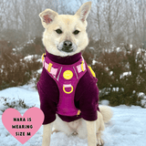 rescue dog harness