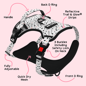 Trail & Glow® Dog Harness - Ditsy Dalmatian - Original Design - Bailey and Coco (UK)