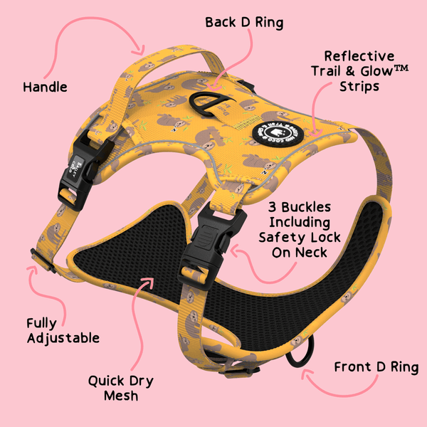 Trail & Glow® Dog Harness - Don't Hurry, Be Happy - alternate view