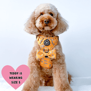 Trail & Glow® Dog Harness - Don't Hurry, Be Happy - Bailey and Coco (UK)
