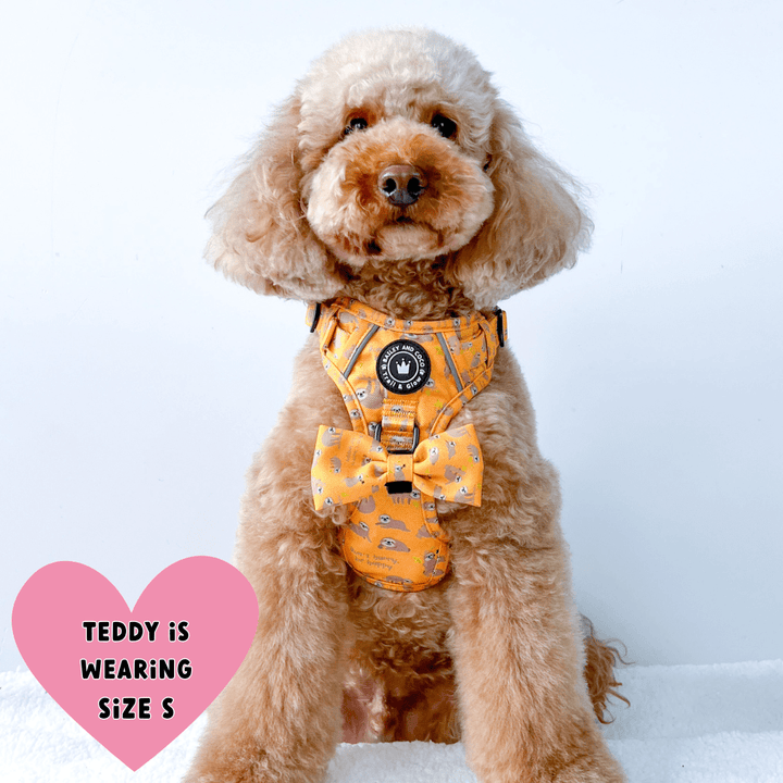 Trail & Glow® Dog Harness - Don't Hurry, Be Happy - Bailey and Coco (UK)