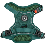 Trail & Glow® Dog Harness - Emerald Teddy - Bailey and Coco (UK)