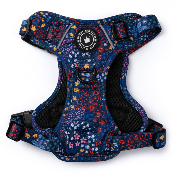 Trail & Glow® Dog Harness - Enchanted - alternate view