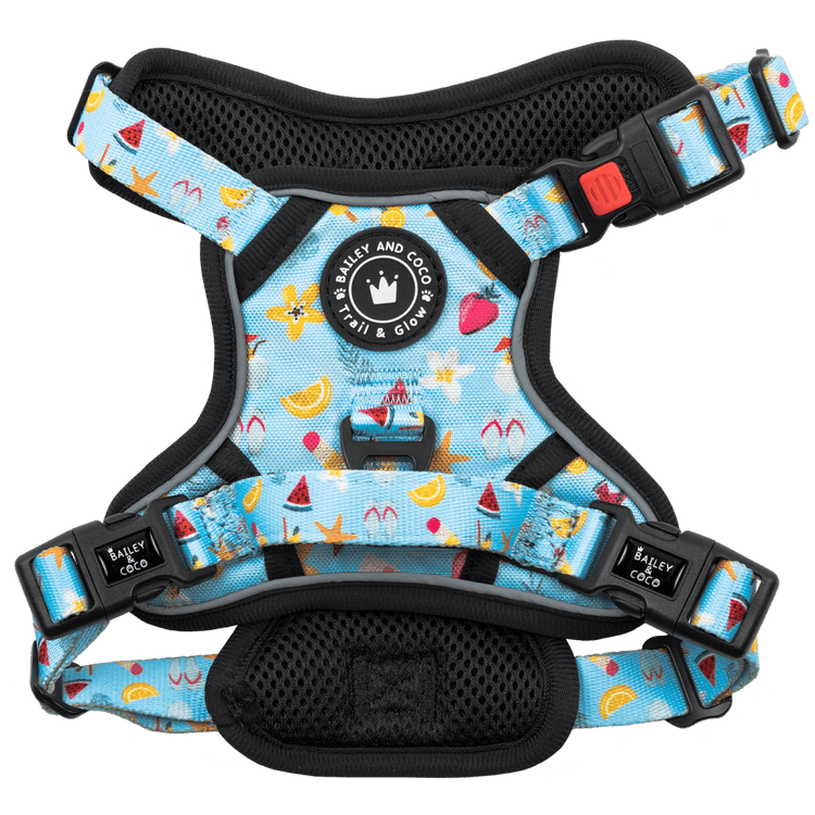Trail & Glow® Dog Harness - Feels Like Summer - Bailey and Coco (UK)