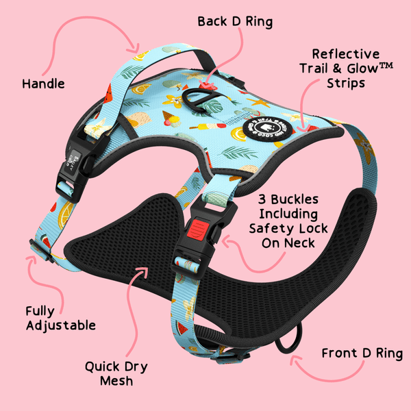 Trail & Glow® Dog Harness - Feels Like Summer - alternate view