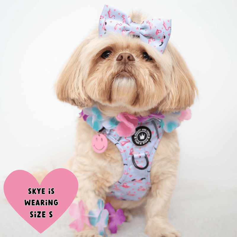 Trail & Glow® Dog Harness - Flamingo Fling - Bailey and Coco (UK)