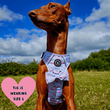 Trail & Glow® Dog Harness - Flamingo Fling - Bailey and Coco (UK)