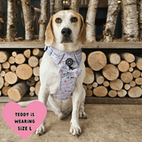 Trail & Glow® Dog Harness - Flamingo Fling - Bailey and Coco (UK)