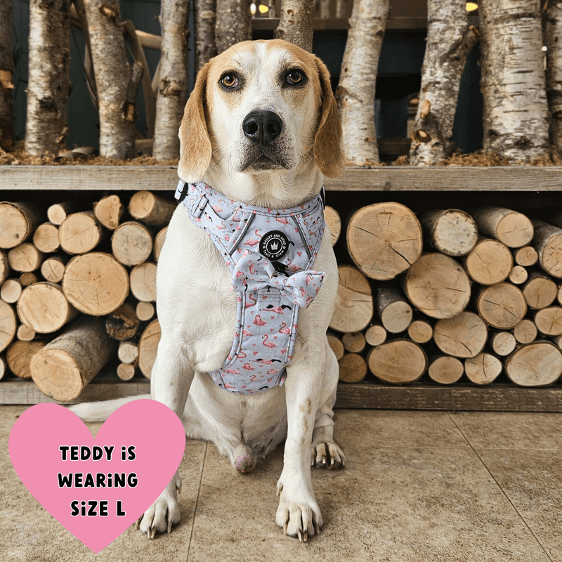 Trail & Glow® Dog Harness - Flamingo Fling - Bailey and Coco (UK)