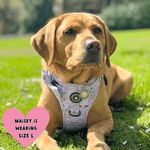 Trail & Glow® Dog Harness - Flamingo Fling - Bailey and Coco (UK)