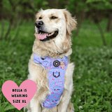Trail & Glow® Dog Harness - Flamingo Fling - Bailey and Coco (UK)