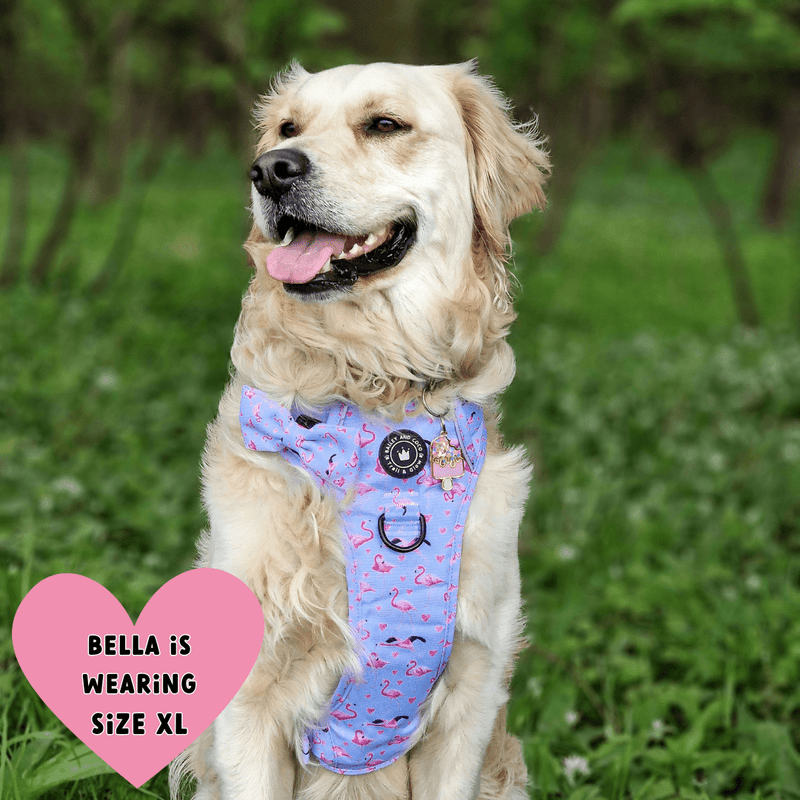 Trail & Glow® Dog Harness - Flamingo Fling - Bailey and Coco (UK)
