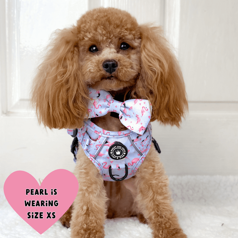 Trail & Glow® Dog Harness - Flamingo Fling - Bailey and Coco (UK)