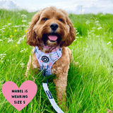 Trail & Glow® Dog Harness - Flamingo Fling - Bailey and Coco (UK)