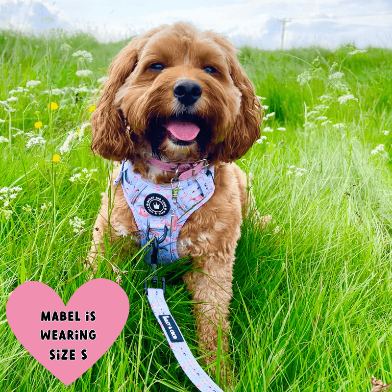 Trail & Glow® Dog Harness - Flamingo Fling - Bailey and Coco (UK)