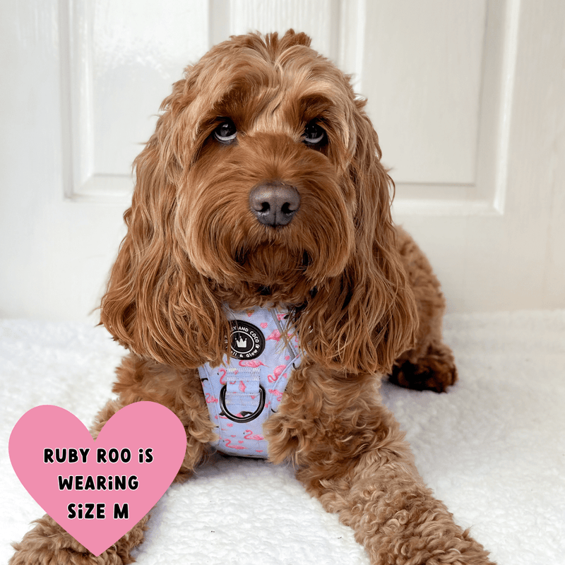 Trail & Glow® Dog Harness - Flamingo Fling - Bailey and Coco (UK)