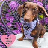 Trail & Glow® Dog Harness - Flamingo Fling - Bailey and Coco (UK)