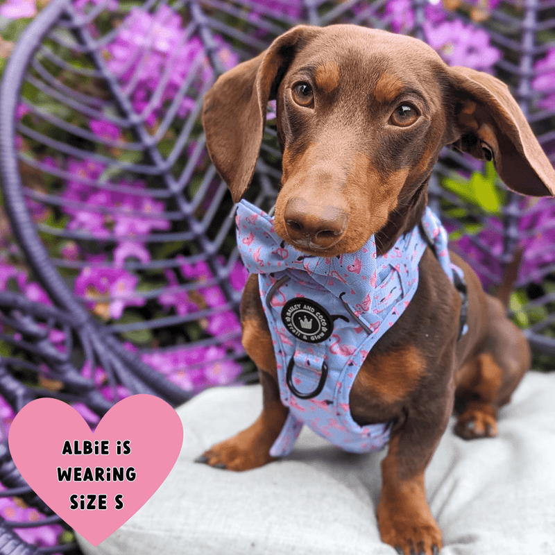 Trail & Glow® Dog Harness - Flamingo Fling - Bailey and Coco (UK)
