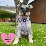 Trail & Glow® Dog Harness - Flamingo Fling - Bailey and Coco (UK)