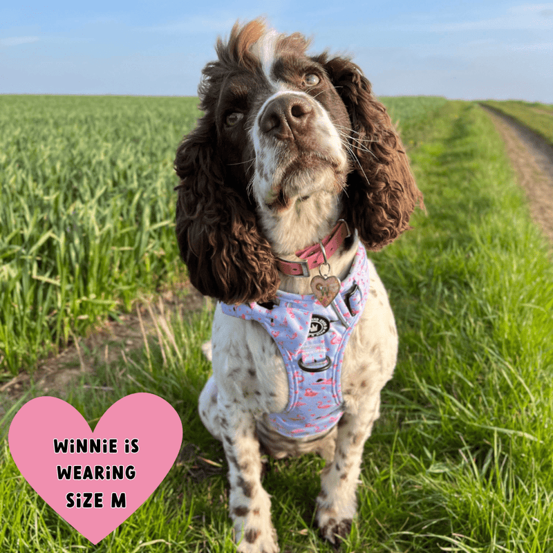 Trail & Glow® Dog Harness - Flamingo Fling - Bailey and Coco (UK)