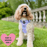 Trail & Glow® Dog Harness - Flamingo Fling - Bailey and Coco (UK)