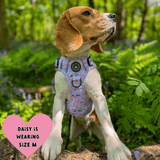 Trail & Glow® Dog Harness - Flamingo Fling - Bailey and Coco (UK)