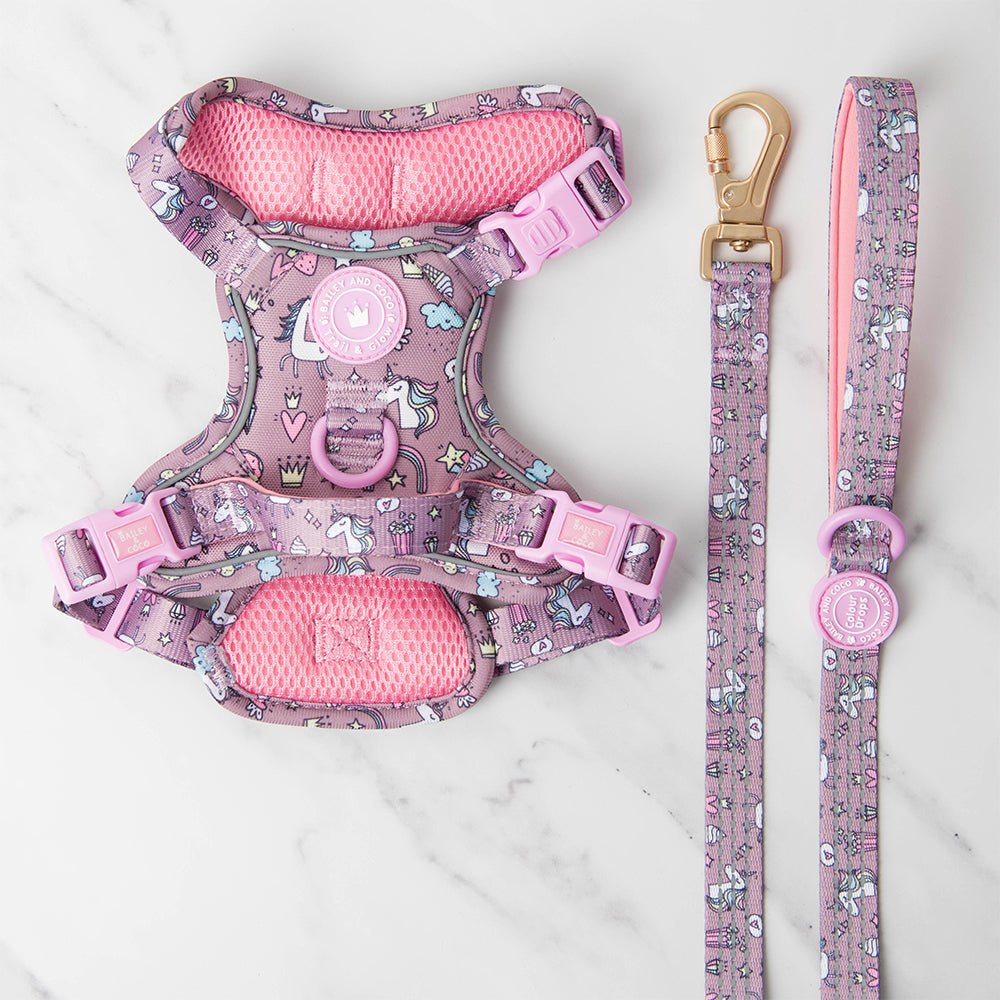 Trail & Glow Dog Harness & Lead Set - Colour Drops - Be Unique - Bailey and Coco (UK)