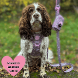 Trail & Glow Dog Harness & Lead Set - Colour Drops - Be Unique - Bailey and Coco (UK)